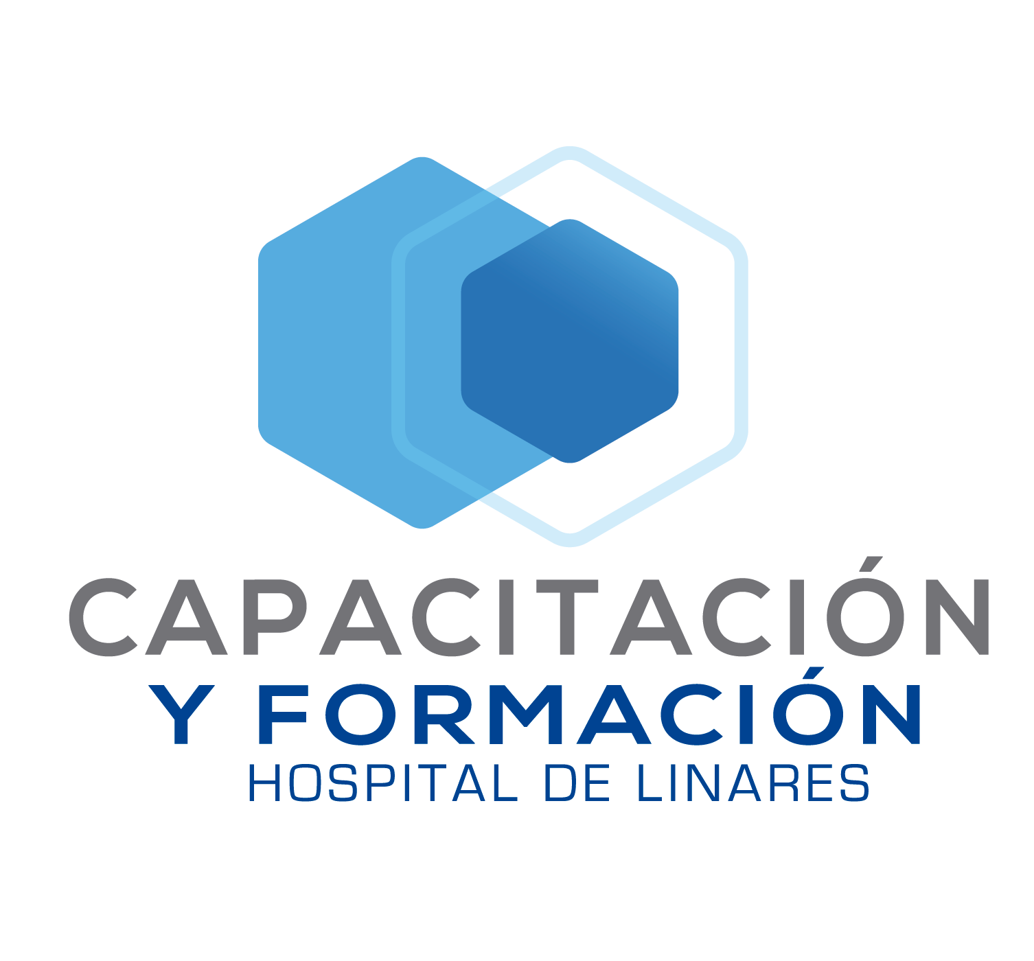 Aula Virtual Hospital de Linares