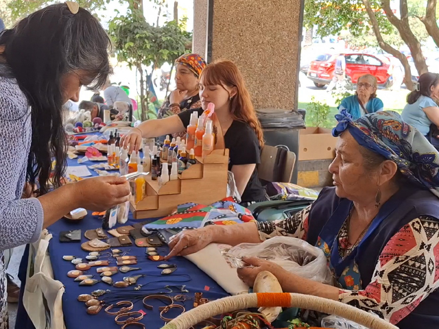 En el Hospital de Linares Realizan 1era Feria Regional de Mujeres Emprendedoras Indígenas “Rakiduam rayün mew” Saberes que Florecen